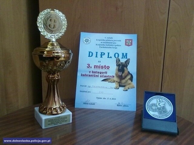 Wrocławski przewodnik psa policyjnego zdobył medal w międzynarodowych zawodach kynologicznych