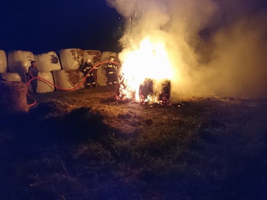 Bele siana w ogniu. Zdjęcia z akcji strażaków