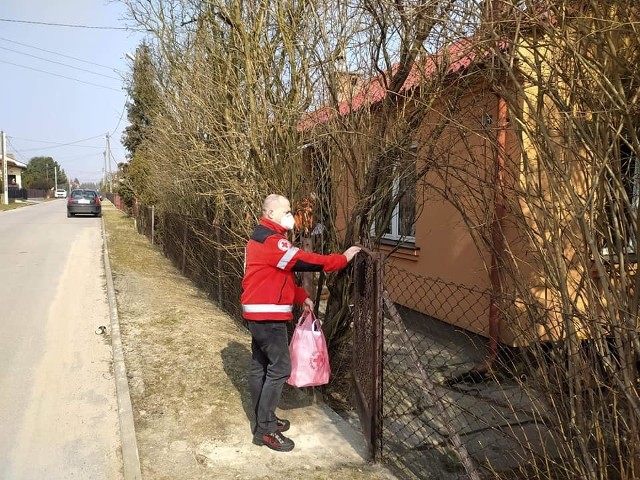 40 paczek z żywnością o wartości 90 złotych każda dotarło już do najbardziej potrzebujących seniorów gminy Sandomierz i Samborzec. Paczki przekazano w ramach akcji "Wielkanoc z PCK".