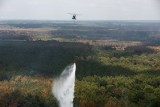 Francja: Ogromne pożary w Żyrondzie i Bretanii opanowane. W wielu departamentach wprowadzono ograniczenia w dostępie do wody