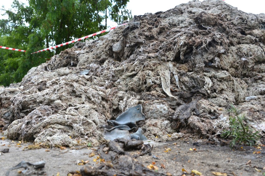 Znów między Kielcami a Ponidziem znaleziono odpady garbarskie. Wyrzucający skóry się uaktywnili