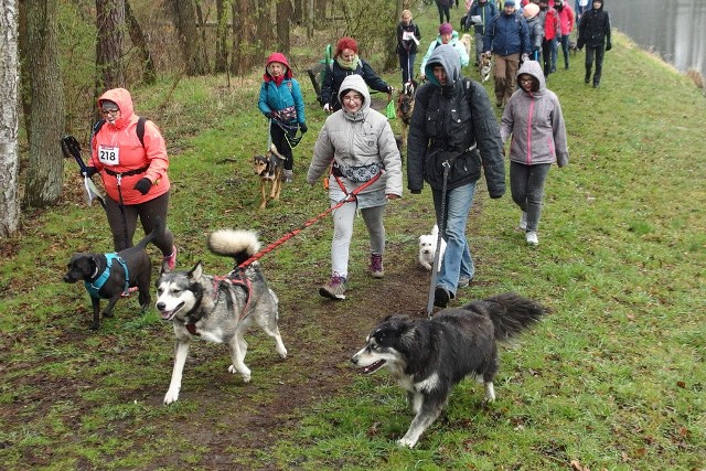 Dogtrekking w Lublińcu 2019: do Lublińca zjechali sympatycy dogtrekkingu z całego kraju, rywalizacja toczyła się w kilku kategoriach