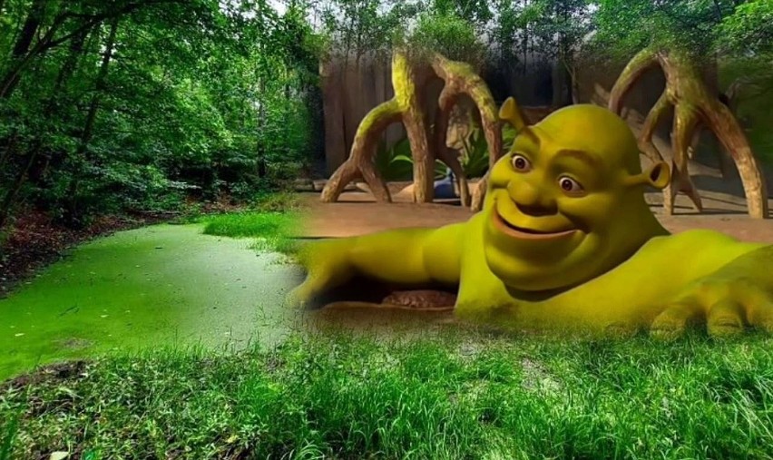 Stawy wyglądające jak w bajce "Shrek" można zobaczyć w...