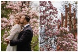 Magiczny plener fotograficzny na Śląsku? W Gliwicach właśnie kwitną magnolie. Zobaczcie wyjątkowe zdjęcia. Może też skusicie się na sesję?