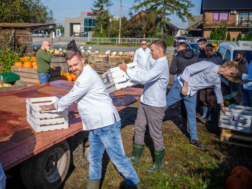 Zbiory głąbika krakowskiego.