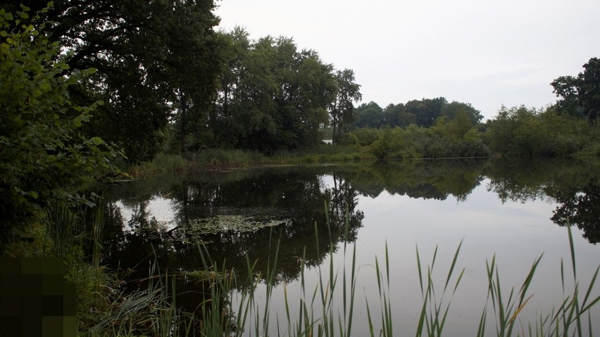 72 letni wędkarz utopił się w stawie w Redzikowie [ZDJĘCIA]