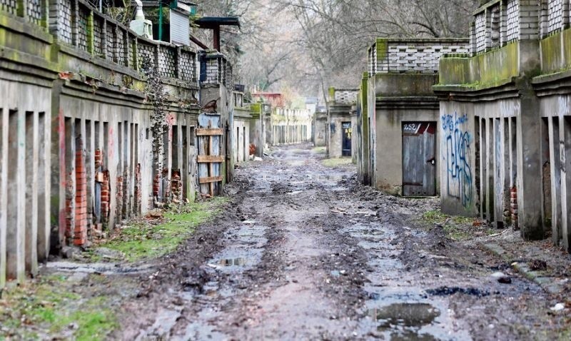 Komórki  i  ich  otoczenie  są  mocno  zdewastowane, ale...