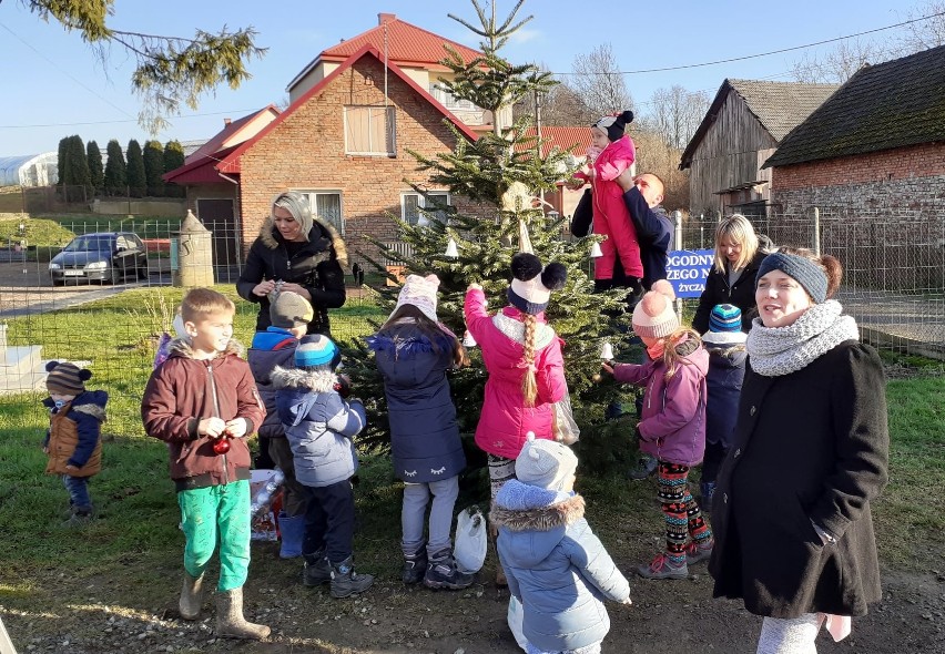 Wspólne ubieranie choinki w Kończycach. Świąteczne drzewko stanęło w centrum wioski