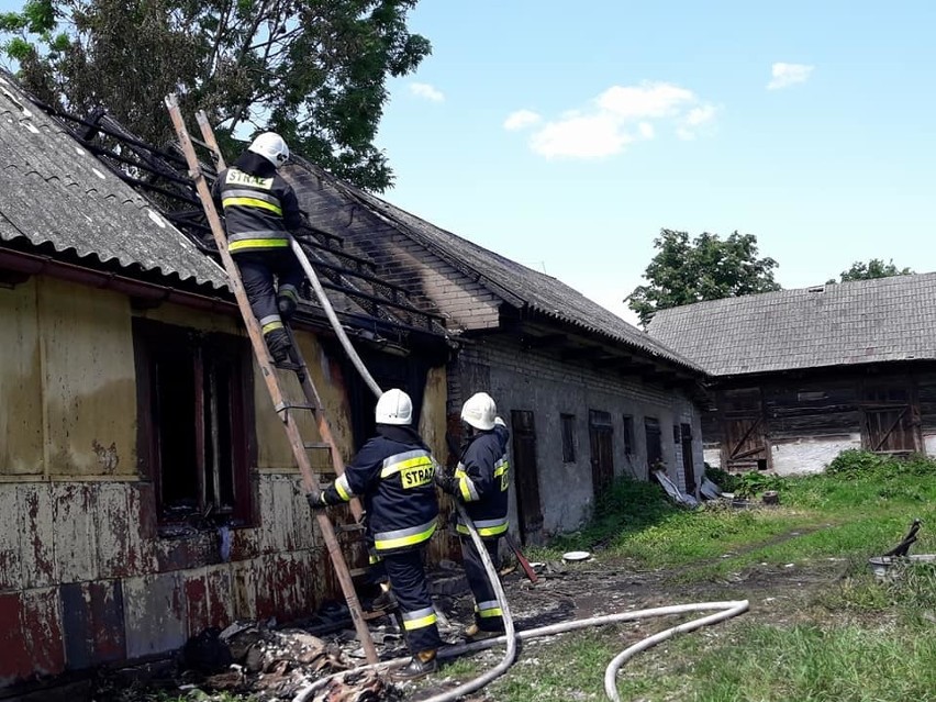 Pożar domu w Wierzbicy.