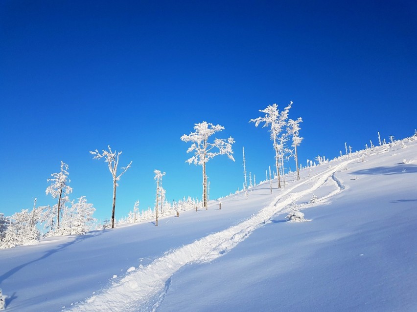 Warunki śniegowe w Beskidach są idealne - takiego mrozu i...