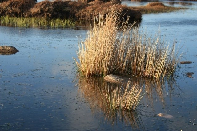 Czersk i Brusy objęte są programem ochrony Natura 2000, są więc obawy, czy ewentualne wydobycie gazu łupkowego jest w tych gminach możliwe