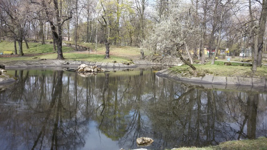 Sosnowiec: Park Dietla to dobre miejsce na świąteczny spacer