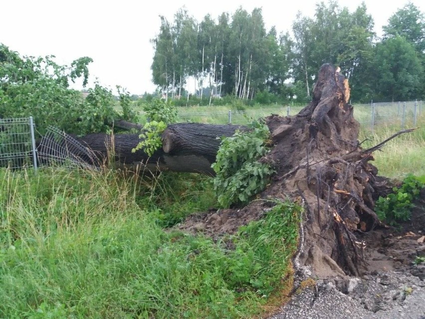 Skutki nawałnicy w Wągrowcu.