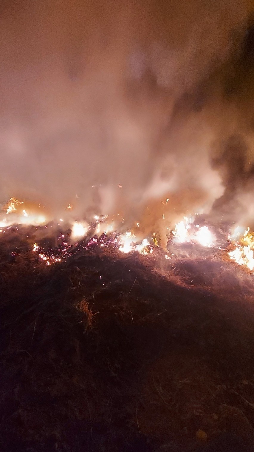Pożar balotów słomy w Pobłociu gasili ochotnicy z OSP...