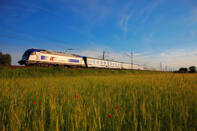 Więcej pociągów na majówkęw składach EIC i TLK pojawi się ponad 280 dodatkowych wagonów.
