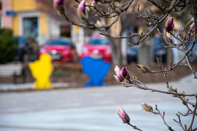 Myślenicki Rynek przyozdobiony na nadchodzące święta