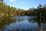 Majówka 2024 dla miłośników przyrody. 13 zielonych miejsc na weekend w województwie śląskim