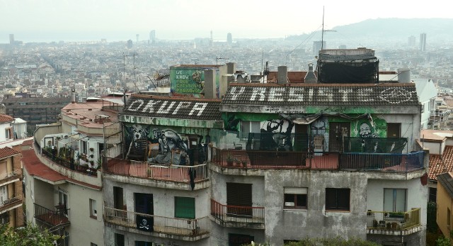 Dzicy lokatorzy są coraz większym problemem w Hiszpanii. Zdjęcie ilustracyjne