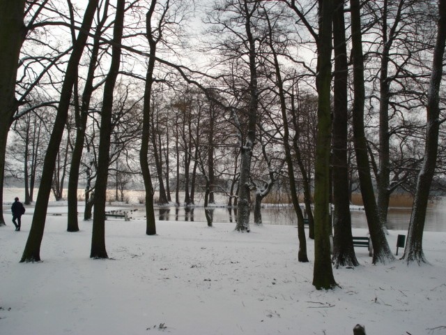 Szczecinecki park