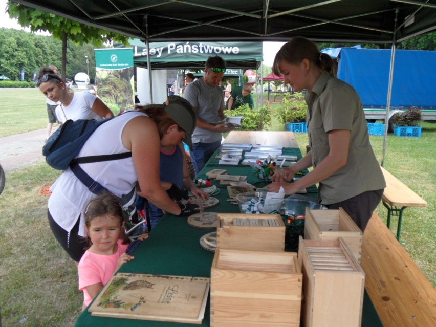 Leśny Piknik Rodzinny Ekoodpowiedzialnie 2015 w Katowicach