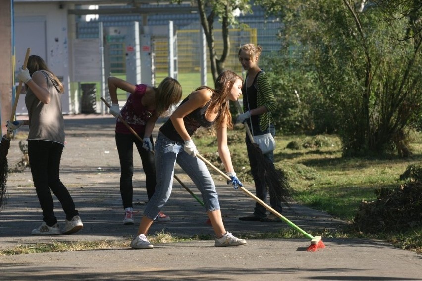 Legnica: Ostatnie sprzątanie parku