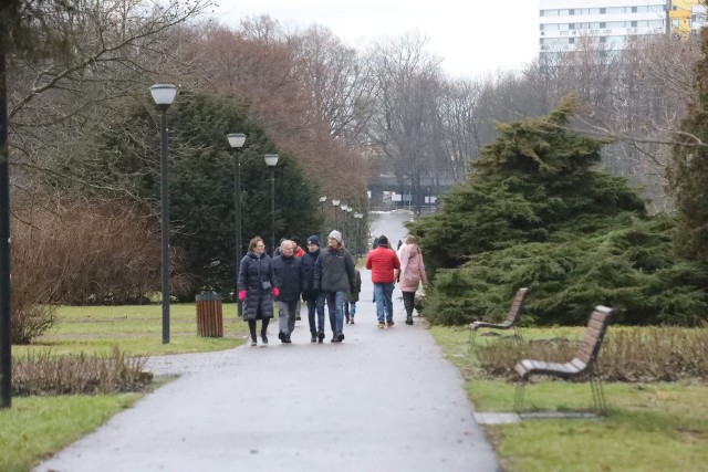 Kijki, trening z psem, rower czy spacer w wolnym tempie? Park Śląski jest dobry na każdą aktywność i pogodę!