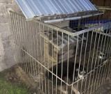 Agresywny pies w Zalesiu. Wyrwał się z kojca i pogryzł 55-latkę