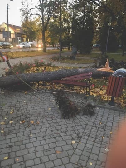 Wichura w Łódzkiem. Strażacy interweniowali ponad 550 razy w całym województwie