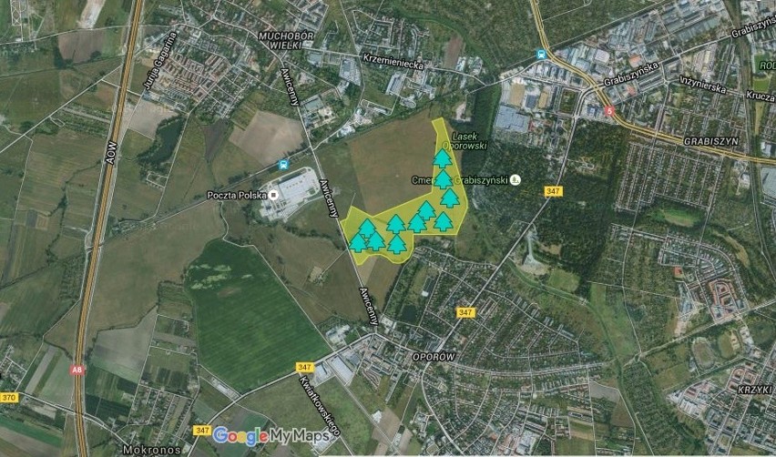 Wrocław: Nowy, wielki park na Oporowie. Zajmie aż 35 hektarów