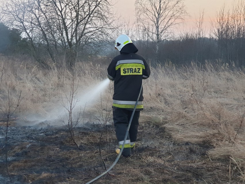 Już zaczęły się wypalania nieużytków i łąk, jak to było...