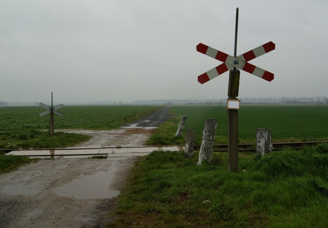 Przy samej linii nr 288 Nysa - Brzeg trzeba uregulować sprawy dotyczące 18 przejazdów kolejowo-drogowych.