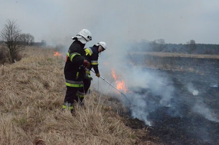 Strażacy walczą z pożarami traw