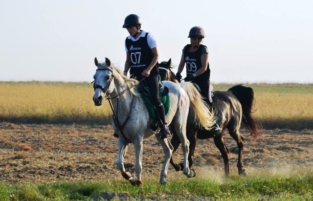 Mistrzostwa Polski w Sportowych Rajdach Konnych odbędą się już w sobotę w Malichowie.