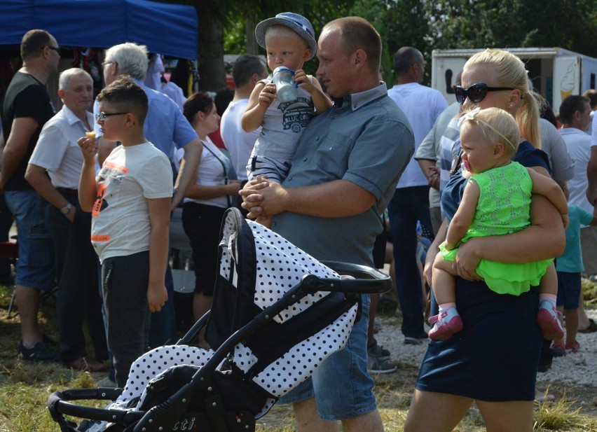 Cena bobu jest dobra, więc w Sudołku mogli świętować