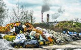 Rakotwórcze toksyny po Zachemie spływają w stronę Wisły