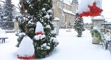 Kolegiata w Skalbmierzu oraz jej otoczenie przykryta śnieżną pierzyną. Jak wygląda w drugim dniu tęgiej zimy? Zobaczcie zdjęcia