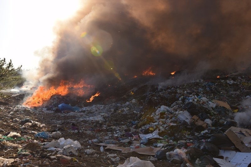 Pożar wysypiska śmieci w Mostkach koło Zduńskiej Woli