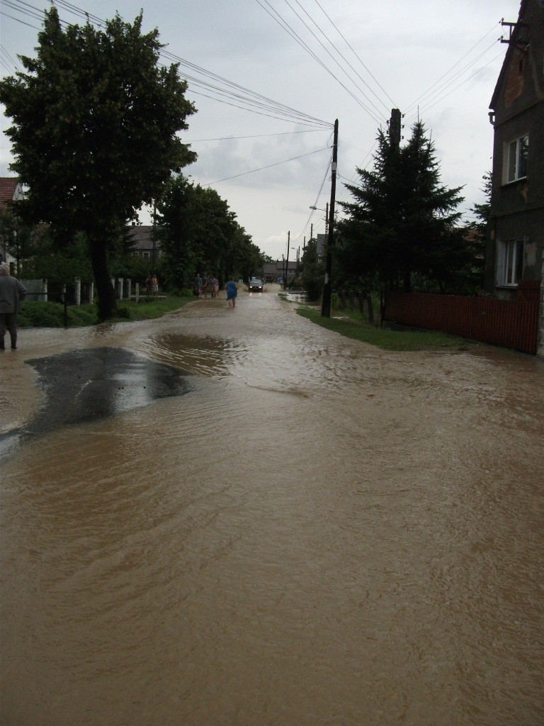 Zdjęcia po burzy, która przeszła nad Budzieszowicami w...