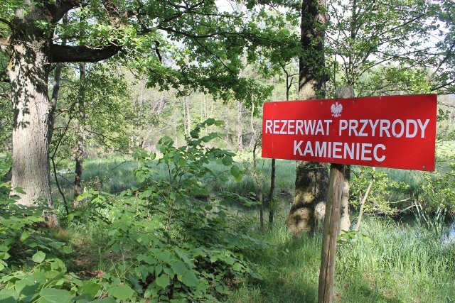 Kamieniec, Sobisz, Radomil, Chałupy, Rydzek - śródleśne osady w lasowickiej gminie.