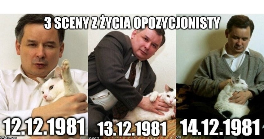 Jarosław Kaczyński i jego miłość do zwierząt. Zobacz najlepsze memy