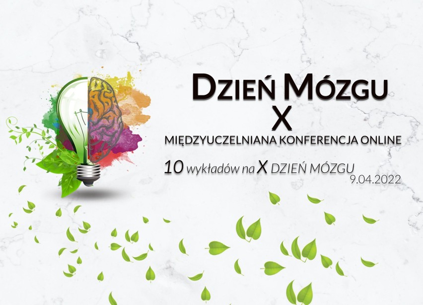 10 edycja Dnia Mózgu w Szczecinie. Naukowcy będą rozprawiali się z mózgiem