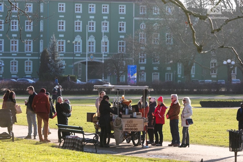 W Szczecinie zakwitły... krokusy! To rekord [ZDJĘCIA]