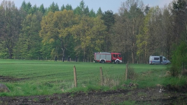 Pieszy potrącony przez pociąg