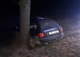 Malechy. Wypadek drogowy, 15.02.2020. Audi uderzyło w drzewo. Zobaczcie zdjęcia