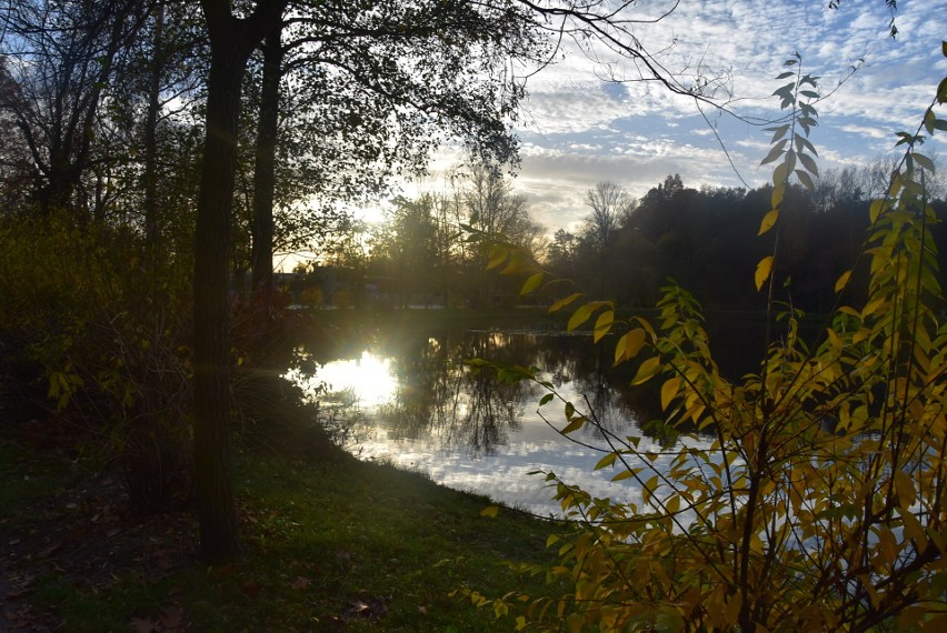 W niedzielę park odwiedziły tłumy mieszkańców Zagłębia....