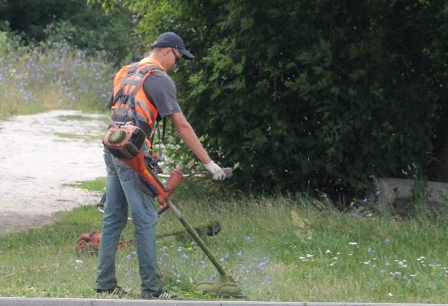 Warkot kosiarek bywa uciążliwy dla mieszkańców blokowisk, ale jeśli koszenie prowadzone jest w ciągu dnia i nie w święto, to nie pozostaje nam nic innego jak uzbroić się w cierpliwość. 