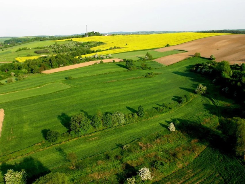 Jura Krakowsko-Częstochowska z lotu ptaka [ZDJĘCIA]