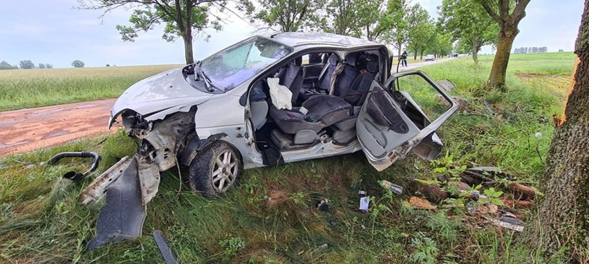 Jatwieź Duża. Renault uderzyło w drzewo. Trzeba było wycinać...