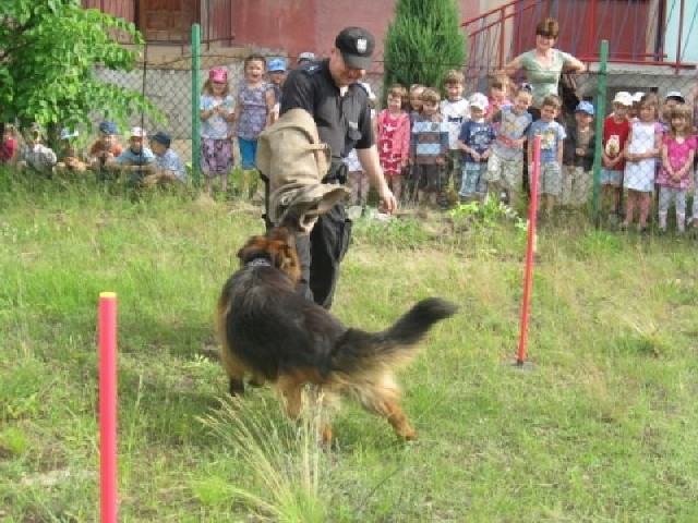 Ogromnym powodzeniem cieszył się pokaz tresury psów policyjnych.