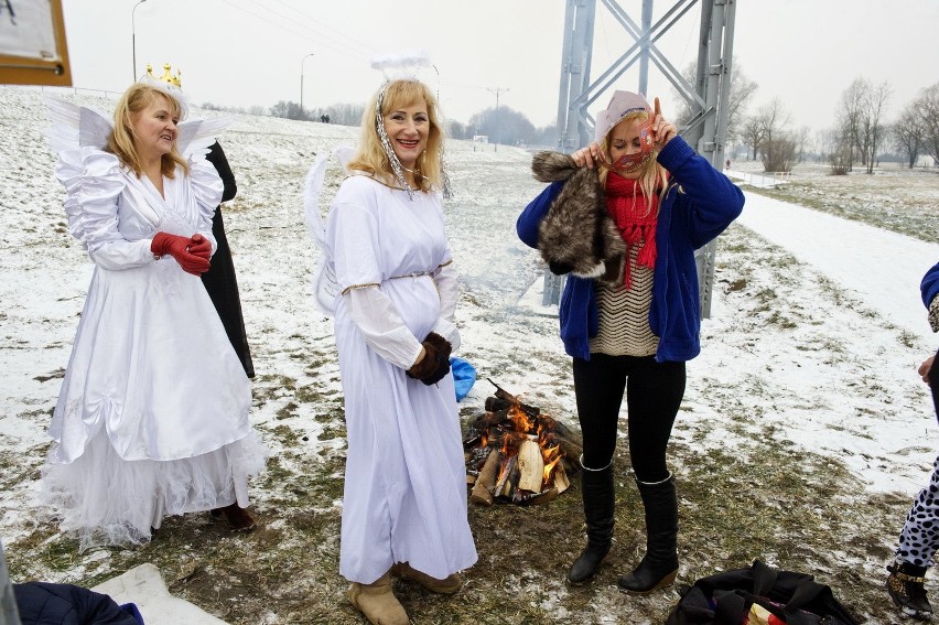 Lubelskie morsy kąpały się w strojach króli [ZDJĘCIA]